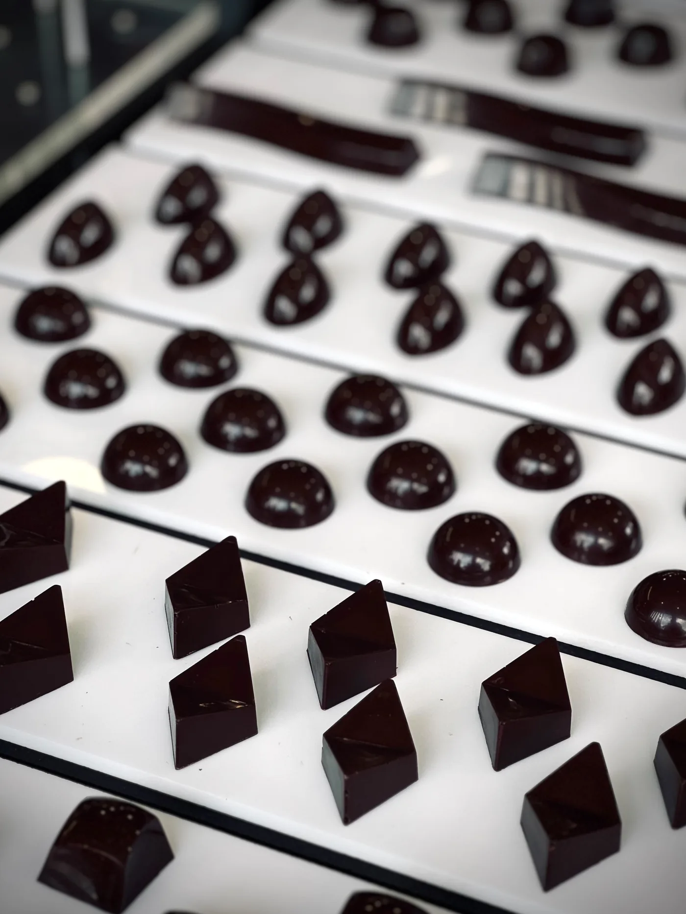 Dark Chocolate Bonbons — hand-tempered dark chocolate shells in assorted moulds
